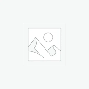 Printed Tshirt Grey Color